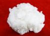 Sell specialty cotton linter pulp