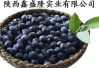 Sell Acai Berry Extract