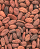 Sell cocoa beans