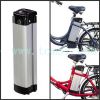 LiFePO4 battery packs 10ah-32v for electric bike car with low price