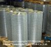 Sell electro/hot-dipped galvanized welded wire mesh for construction