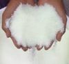 Sell  Urea Fertilizer