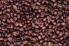 Export Coffee Beans | Arabica Coffee Beans Suppliers | Robusta Coffee Beans Exporters | Coffee Bean Traders | Wholesale Instant Coffee | Buy Coffee Beans | Bulk Coffee Bean | Green Coffee Bean Buyer | Low Price Roasted Coffee Bean | Import Coffee Bean | C