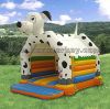 Sell inflatable bouncer for amusement park