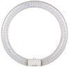 Sell LED Circular Lamp