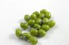 Green Mung Bean