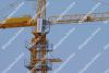 Sell Tower crane TC6013