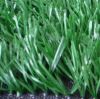 Sell Easy maintenance and low-price nursery school  grass