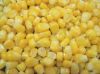 Sweet Corn (Forward Contract 2013)