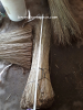 SELL COCONUT BROOMSTICK