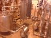 Pasteurizer with separator plant