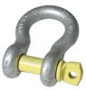 Sell Hook and Shackles for Crane System