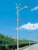 Sell wind and solar hybrid street light system