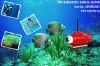 Sell underwater camera system