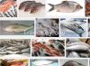 Sell Pomfret Fish, silver pomfret, golden pomfret.black pomfret