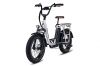 Electric Utility Bike RadRunner Plus