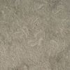 Sell Seagrass (Rustic Green) Limestone