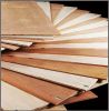 Commercial Plywood (Best Quality)