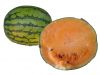 Sell - Yellow Watermelon