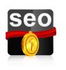 SEO promotion service for higher ranking