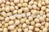 Soybean Offer