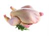 Halal Whole Frozen Chicken For Sale