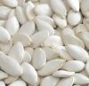 White Pumpkin Seeds