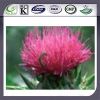 Sell 100% Natural Top Quality Milk Thistle P.E.