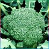 Sell Chinese Fresh Broccoli