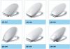 Sell  toilet seat cover toilet fittings