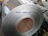 Sell hot dip galvanized steel coil