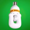 HOT Sale Lowest Price Induction Self-ballasted Light