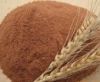 Sell Malt Extract