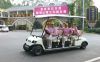 Sell 8 seats Sightseeing Cars