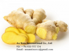 Fresh Ginger whatsApp: +84 935 027 124