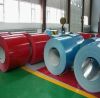 Sell different kinds of prepainted galvanized steel