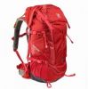 Sell 45L backpack