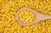  Maize | Maize Exporter | Corn Grain Seller | Maize Buyer | Bulk Maize Grain Importer | Corn bean Buyer | Corn bean Wholesaler | Corn Grain Manufacturer | Best Quality Corn Grain | Cheap Maize Supplier | Low Price Corn | Yellow Corn | White Cron | Baby Ma