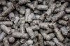 Beet Pulp Pellet