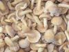 Sell Dried and Frozen Mushroom
