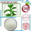 High Purity Stevia Leaf Extract with Competitive Price