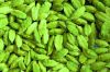 Green Cardamom Dried Cardamom Grade A Quality