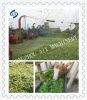 Sell chaff cutting machine/chaff cutter