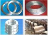 Sell Electro Galvanized Wire