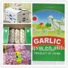 Sell 2012 chinese garlic