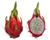 dragon fruits