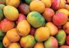 mangoes