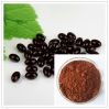 Sell 95% OPC Grape Seed Extract Powder