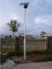 Sell solar street lights