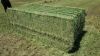 Alfalfa Hay Premium Quality Grade, Mixed Hay, Timothy Hay & Alfafa Hay At Wholesale Prices